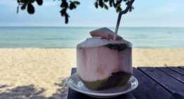 coconut beach feat - thailande-fr